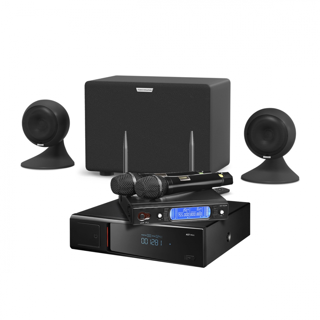 караоке-комплект AST Mini Sound Sphere в Каменск-Уральске