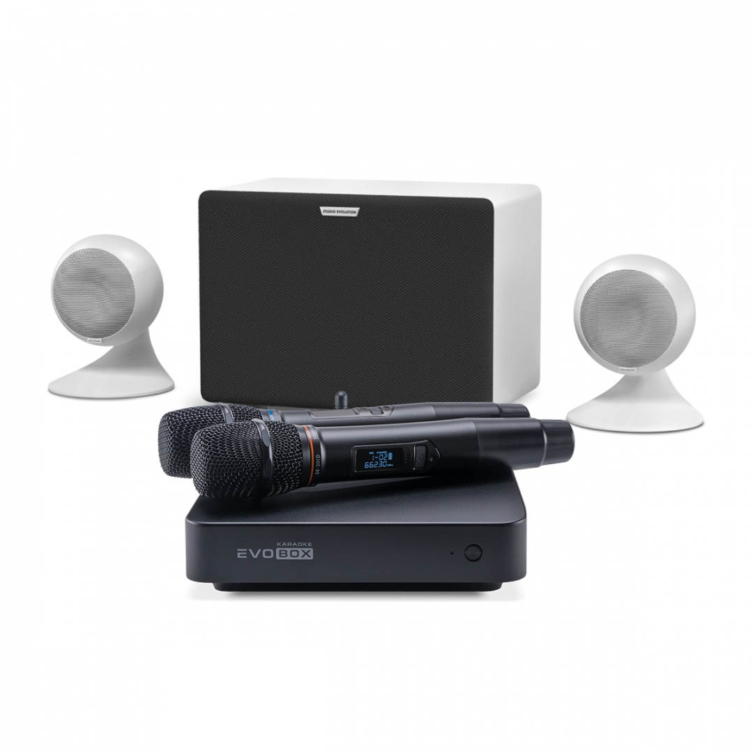 караоке-комплект EVOBOX Classic + EvoSound Sphere 2.1 в Каменск-Уральске