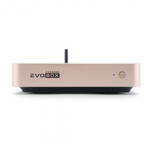 EVOBOX Plus караоке-система для дома в Каменск-Уральске