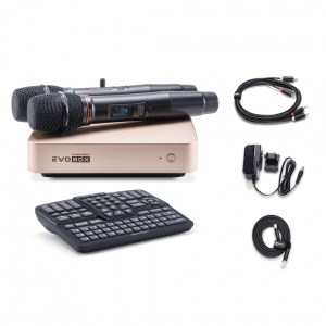 EVOBOX Plus караоке-система для дома в Каменск-Уральске