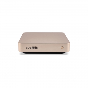 EVOBOX с микрофонами в Каменск-Уральске